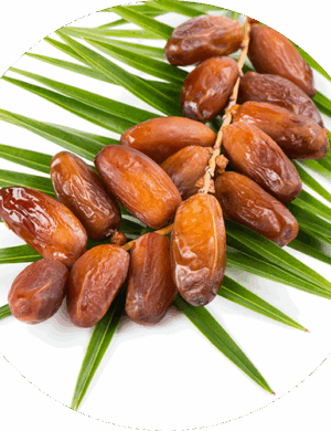 dates palms