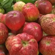 01J3MK69FZJJ3XMP5A0TEWX3PJ