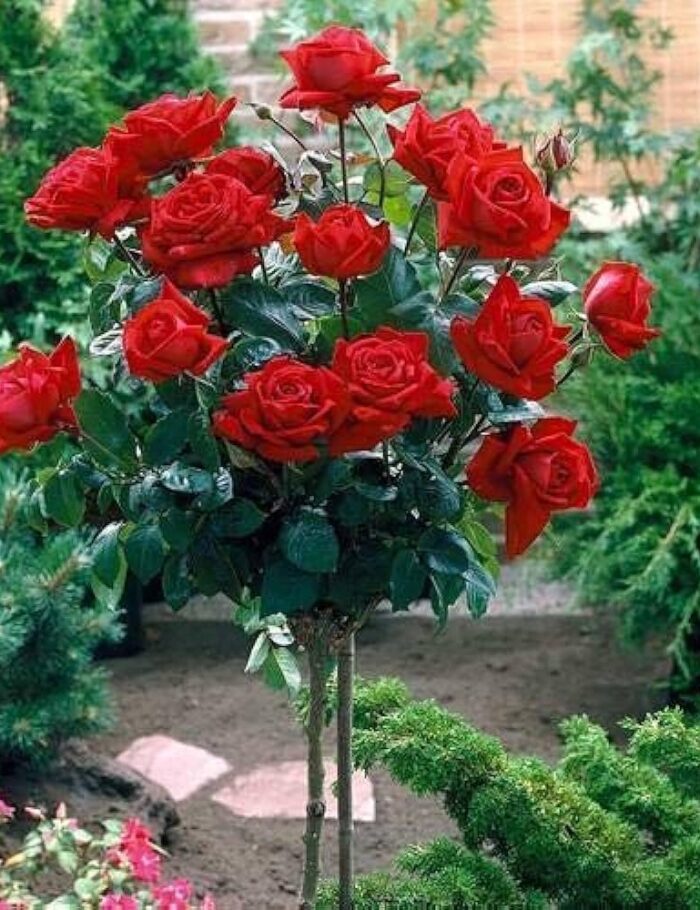 01J3MQ7WX6546V74J3E3DFMQEH