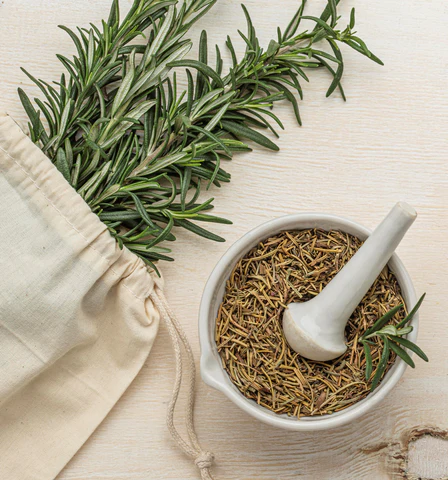 Medicinal Plants