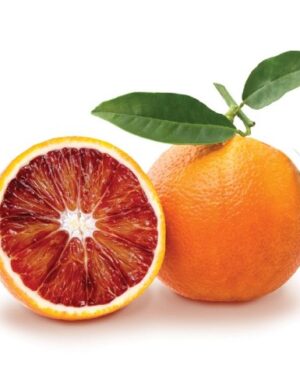 Morocco Red Blood Orange