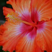 a29470695c053d1ccc34178ff5a5a983